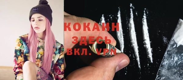 СК Алексин