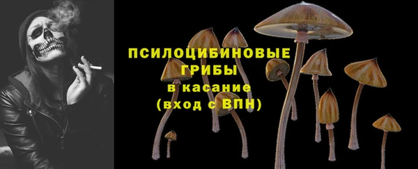 стафф Алзамай
