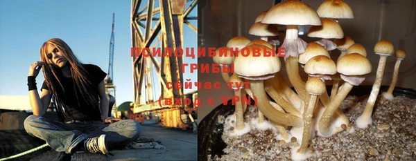 первитин Алексеевка